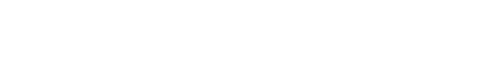 Dunlop